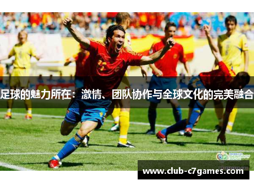 足球的魅力所在：激情、团队协作与全球文化的完美融合